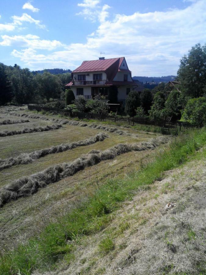 Apartament Widok Czarna Góra Buitenkant foto